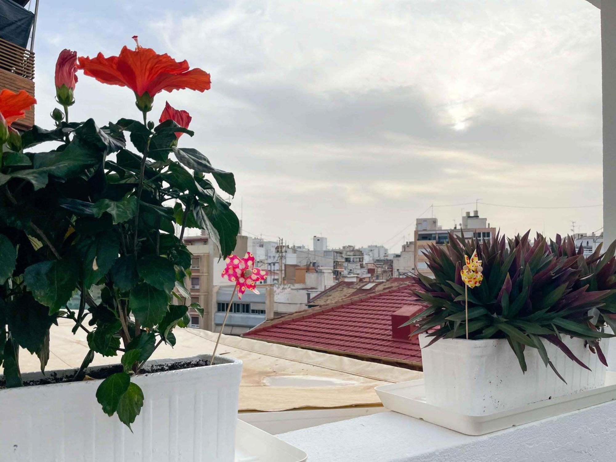 El Atico Del Mercado. Un Lugar Dificil De Olvidar. Alicante Kültér fotó